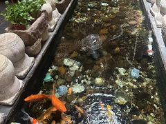 -有梦特色餐厅(古子城店)