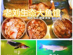 -老刘生态大鱼坊铁锅炖鱼(赛马场店)