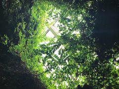 -龙达温泉生态城