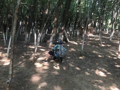 -亲兄弟真人CS团建拓展基地