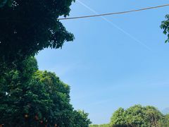 -广州市石门国家森林公园