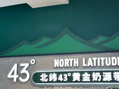 -茉酸奶(高科山姆店)