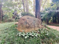 -采石矶景区