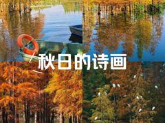 -白鹭湾湿地公园