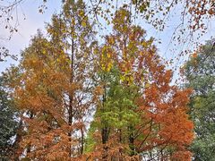 -苏州河梦清园环保主题公园