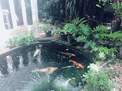 -Fern Forest Cafe