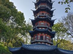 -上海佘山国家森林公园天马山园