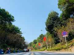 -铁山坪森林公园