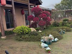 -传统菜农庄(皇姑路店)