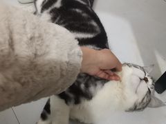 -宠颐生中康贝怡动物医院