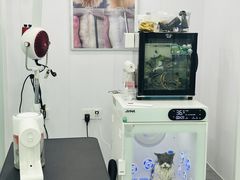 -爱洗澡的猫(望京店)