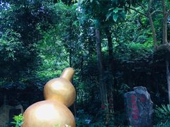 -广西壮族自治区药用植物园