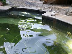 -剑河仰阿莎温泉小镇