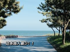 -巧克力渔家.小船海鲜胶东菜(万平口店)