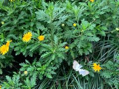 -鱼桥巷·美学川菜