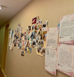 -海豚湾高端月子会所(黄浦店)