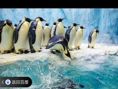 -珠海长隆海洋王国