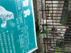 android_upload_pic-广东茂名森林公园