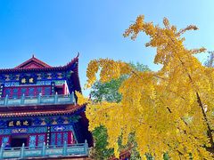 -章华寺