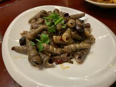 钉螺-吕宋海鲜楼