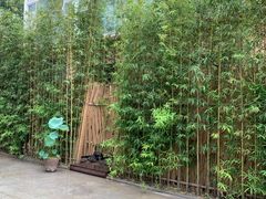 -天水蔬食料理(树德之光店)