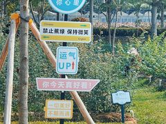 -亚龙湾国际玫瑰谷
