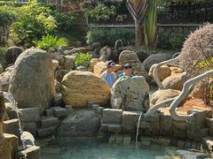 -龙佳生态温泉山庄