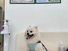 -爱妮康宠物医院·干细胞免疫细胞·肿瘤·心脏(张江店)