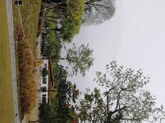 -海珠儿童公园