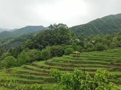 -石台牯牛降景区