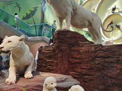 -陕西自然博物馆