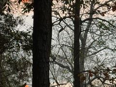 -大京袁记烤全羊农家(大京水库店)