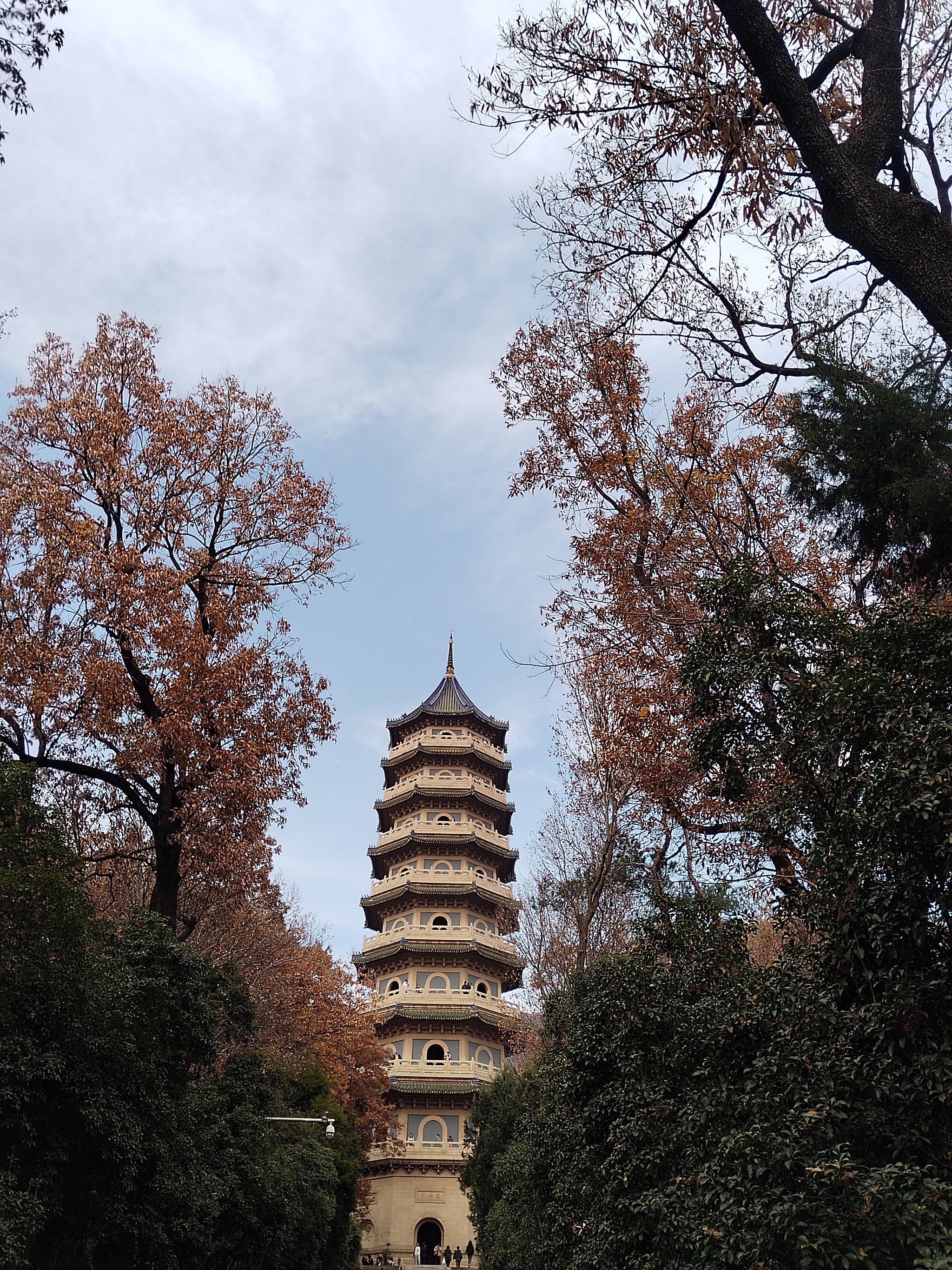 钟山风景区是其中一颗璀璨的明珠,里面有多处景点,有时间就可以去走走