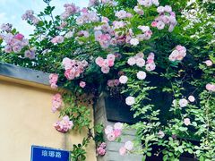 -颐和路民国时期公馆-风貌区