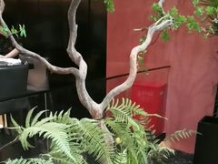 -大神太神·铁板烧(七宝领展广场店)