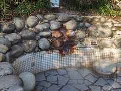 -三江森林温泉度假区