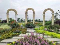 -紫颐香薰山谷景区