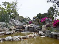 -东莞植物园