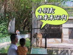 -广东茂名森林公园