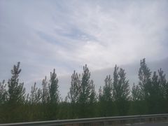 -利群海琴购物广场(商丘路店)