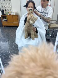 -Hair Co.一间沙龙