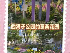 -西海子公园