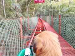 -藏龙百瀑风景区