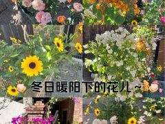 -火炉山森林公园