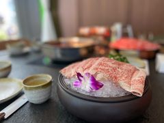 -新草堂锅物料理(泉城路店)