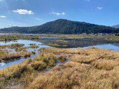-腾冲北海湿地