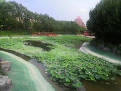 -郑州方特梦幻王国