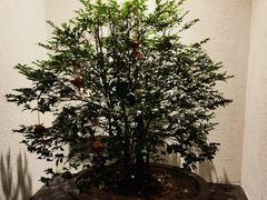 -长禧家·珑厨(东山口店)