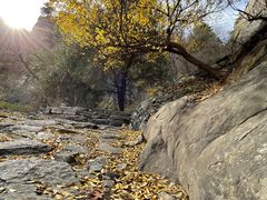 -鹫峰国家森林公园