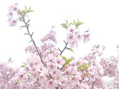 -艾溪湖湿地公园